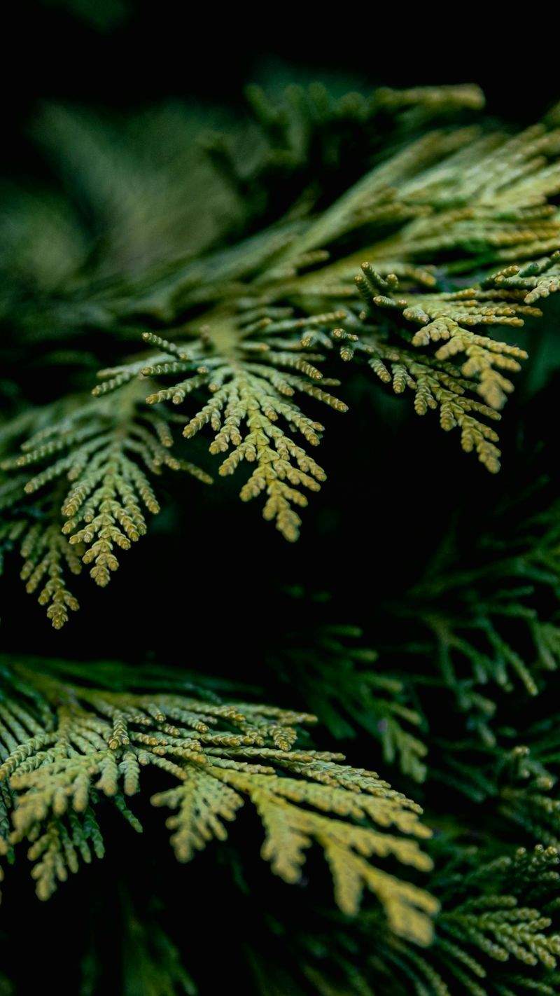 Grüne Oase GmbH - Image 6